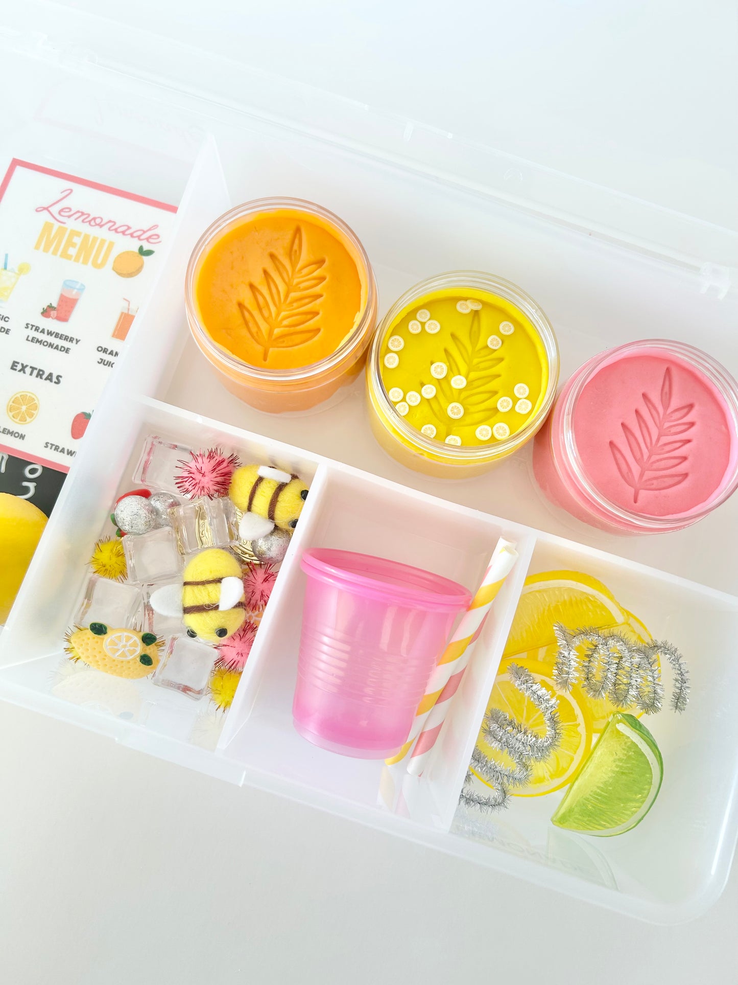 SQUEEZE THE DAY PLAY KIT