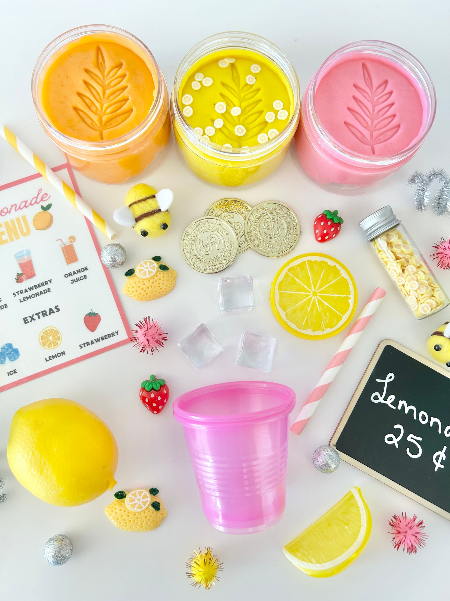 SQUEEZE THE DAY PLAY KIT