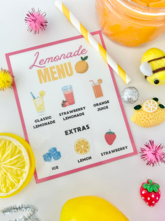 SQUEEZE THE DAY PLAY KIT