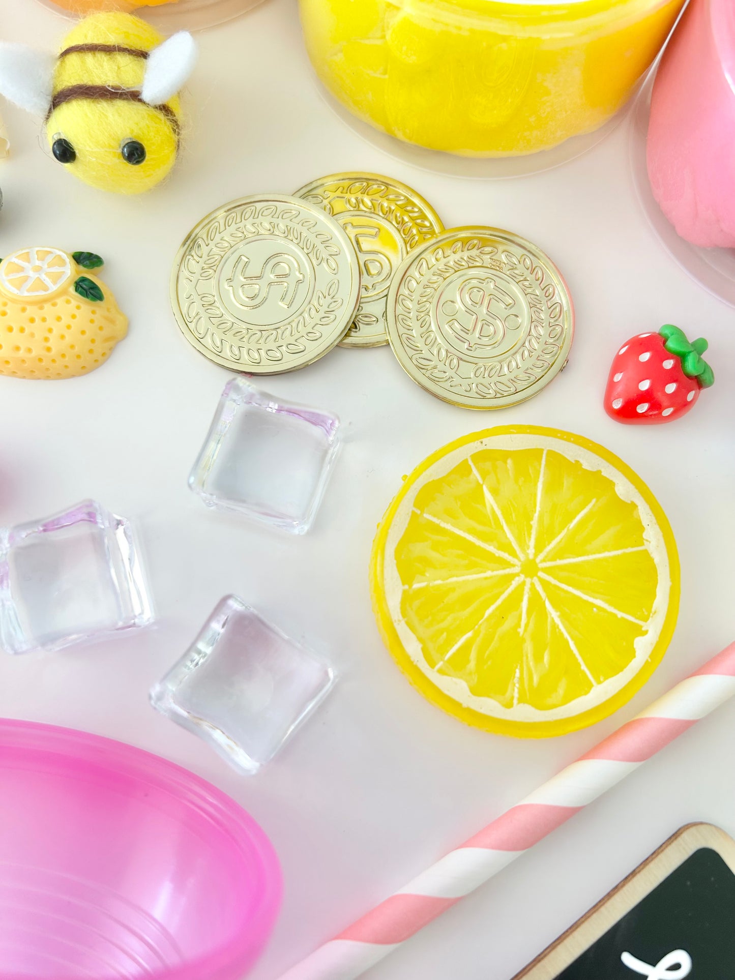 SQUEEZE THE DAY PLAY KIT