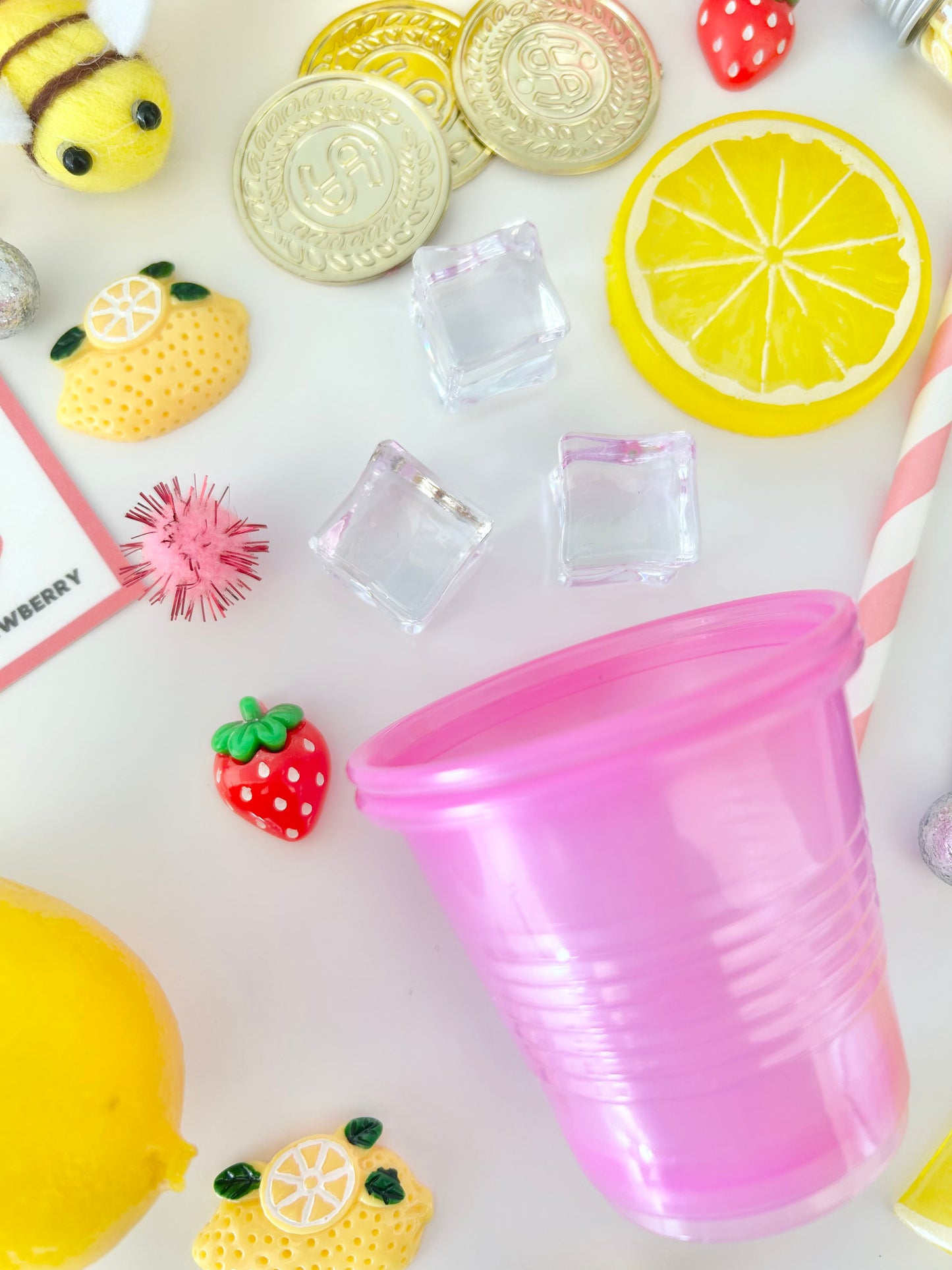 SQUEEZE THE DAY PLAY KIT